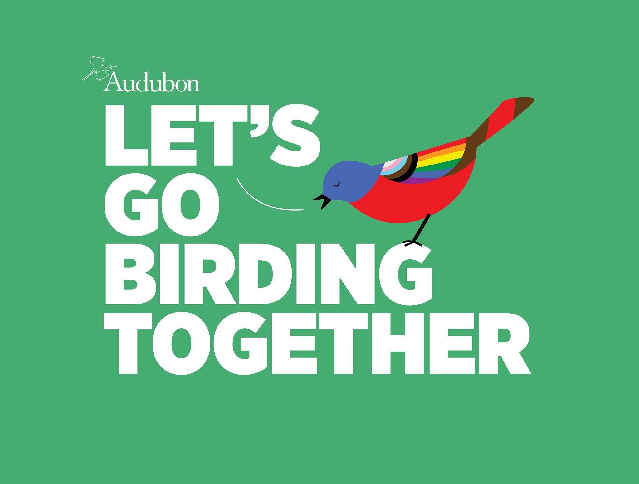 Green background; bird with rainbow coloring sitting on white, bold lettering that says "Let's Go Birding Together"