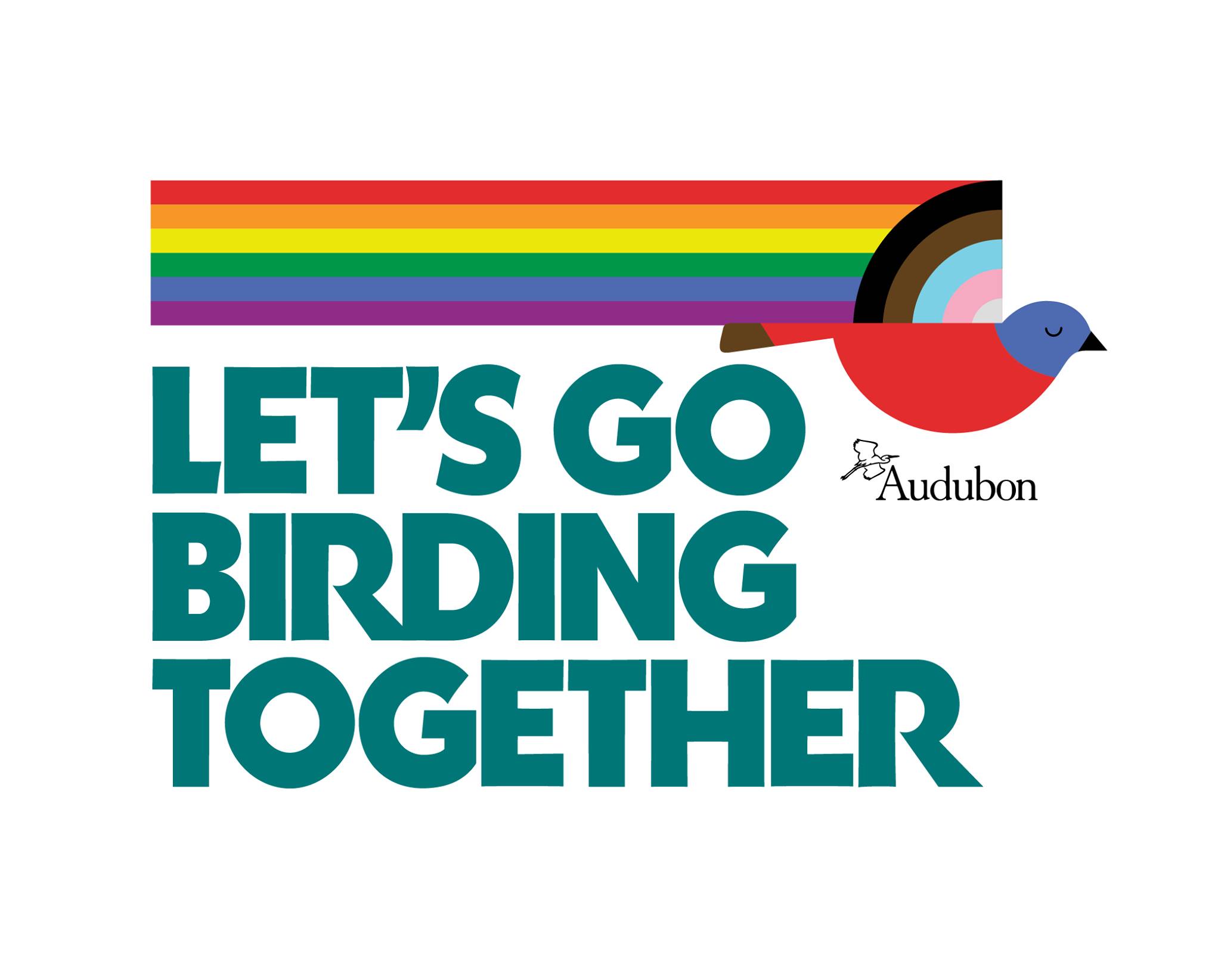 Rainbow banner across the top with a bird; Bold Green/blue letters say "Let's Go Birding Together"