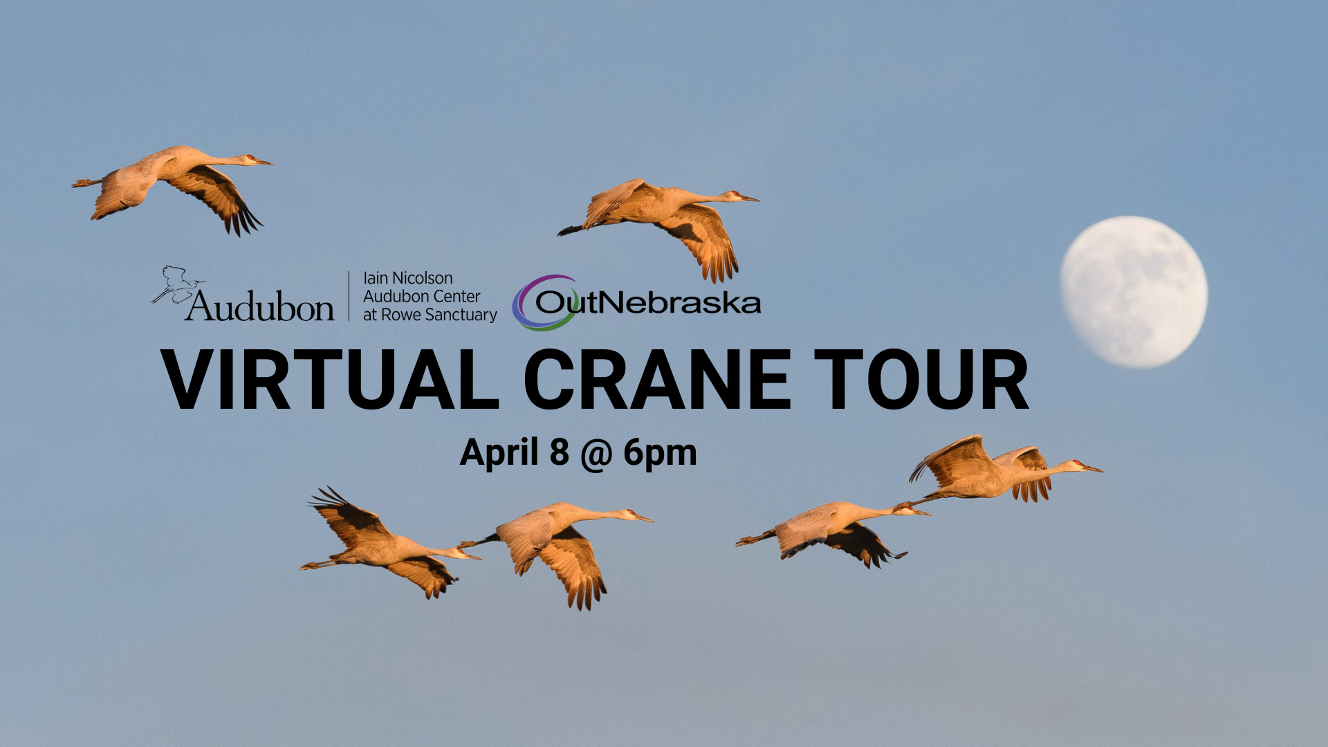 Image of 6 flying sandhill cranes. The sky is blue and dusty with a full moon. Text: Virtual Crane Tour April 8 at 6pm.