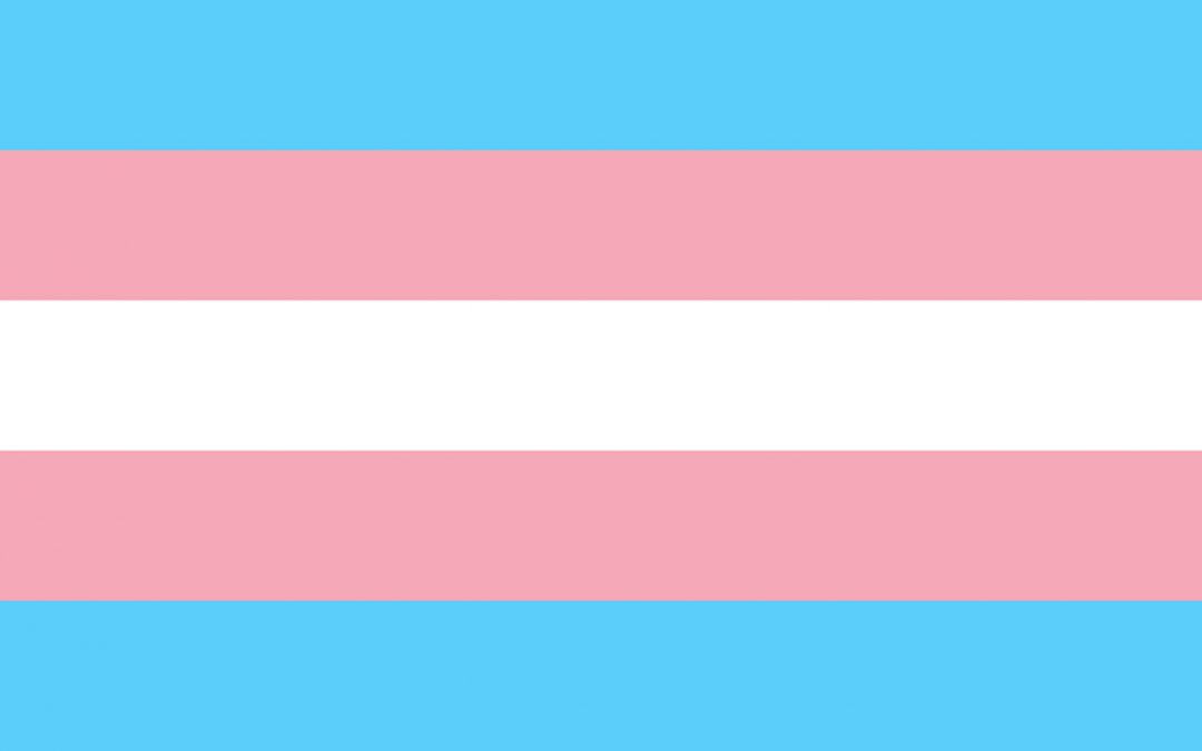 Transgender Pride Flag - a light blue stripe on top, followed by a light pink stripe, a white stripe, a light pink stripe, and a light blue stripe on the bottom.