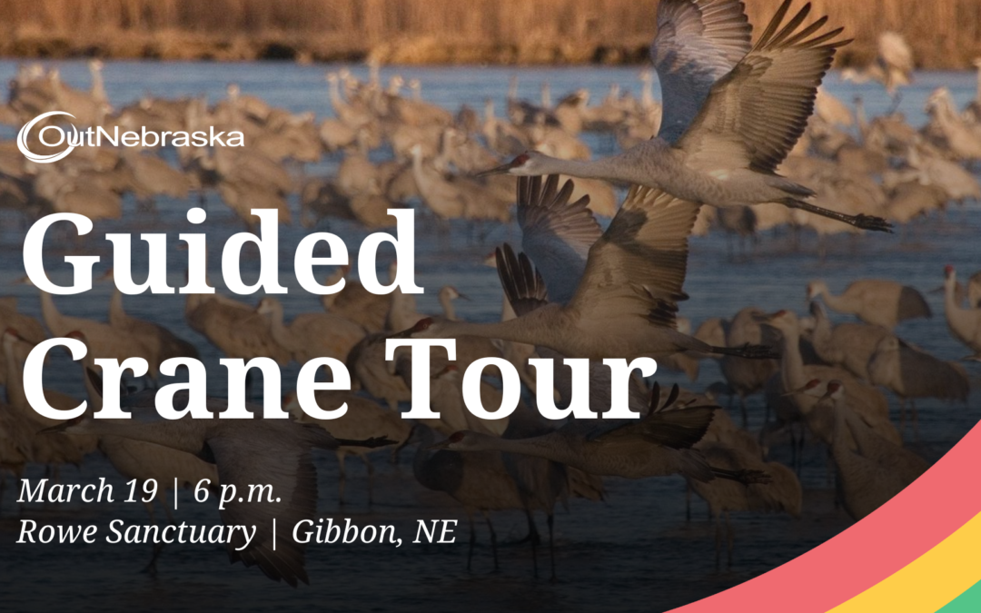 Guided Crane Tour at Rowe Sanctuary | OutNebraska